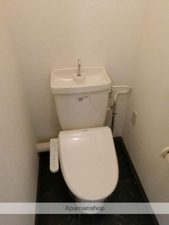 シェルげんぽうのその他画像