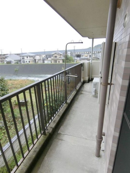 カターラ三清のその他画像