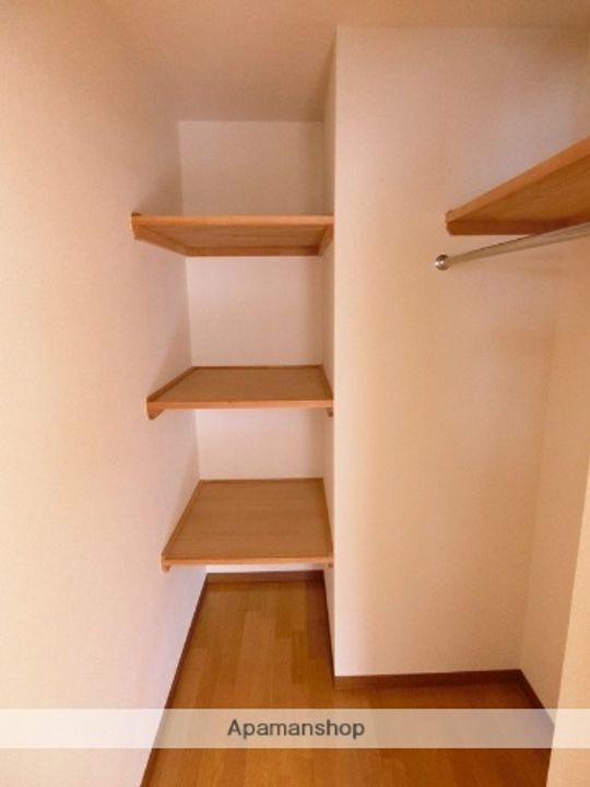 シャラのその他画像