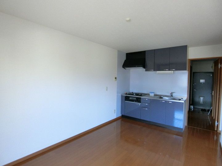 ラフィーネ壱番館101の内装