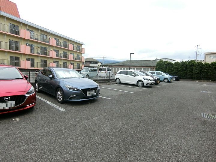 セボージャのその他画像