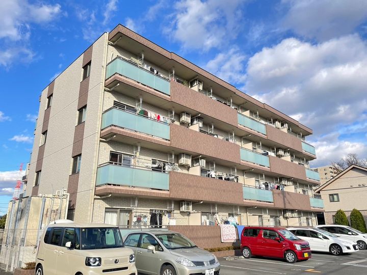 アロッジオ トガリーゼのその他画像