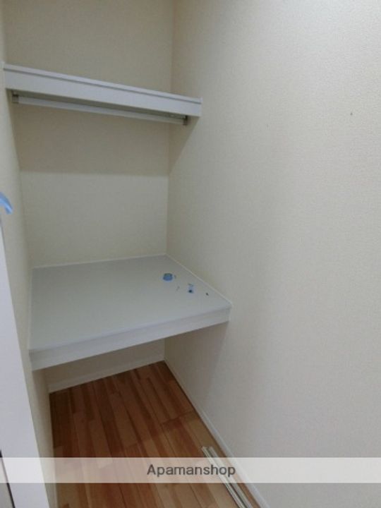 CELESTEのその他画像