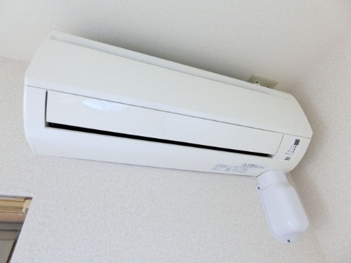 セレストのその他画像