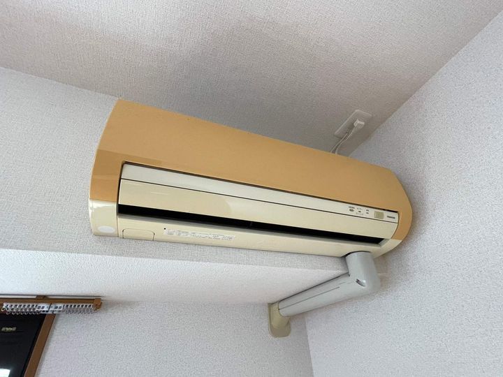 カナルフィーのその他画像