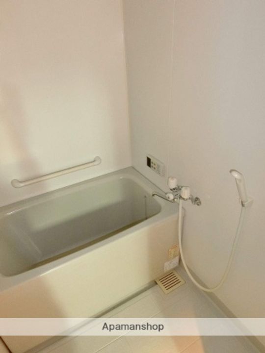 ロイヤルカーサ関野305の風呂