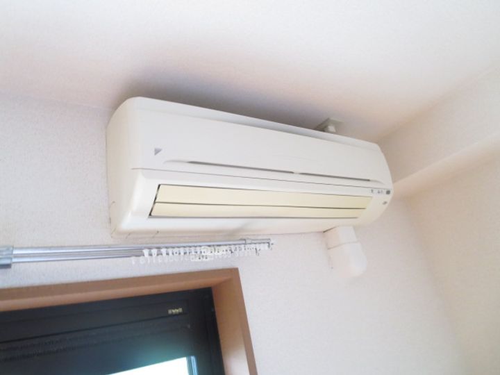 パライソのその他画像