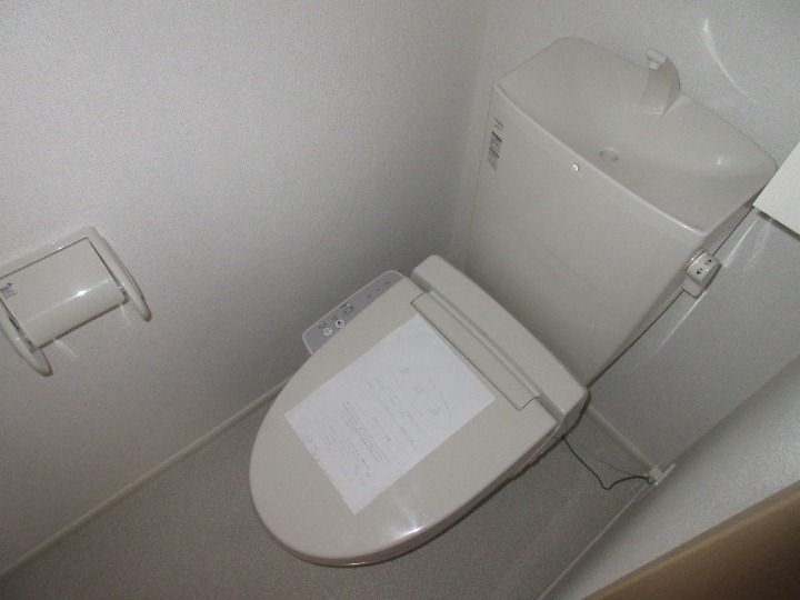 プリムローズSのその他画像