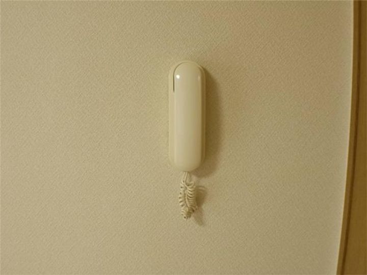 ツリーベルズのその他画像