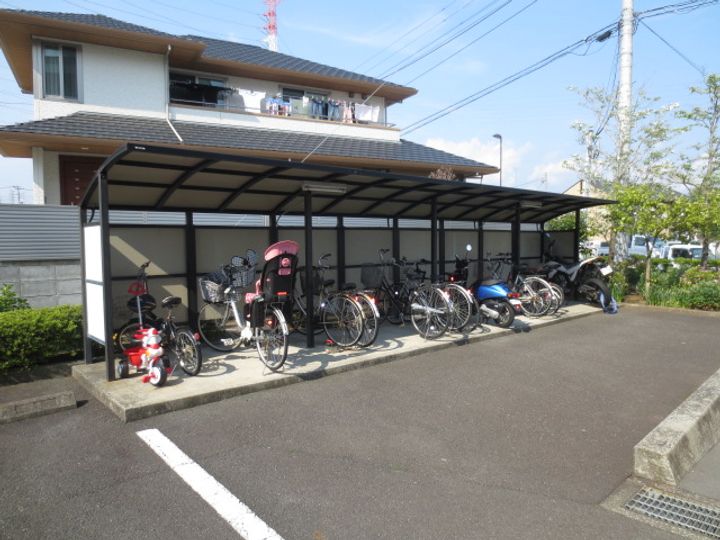 ロイヤル花水木のその他画像