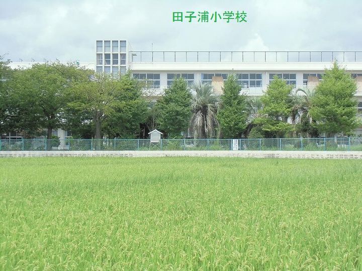 ココエールの周辺