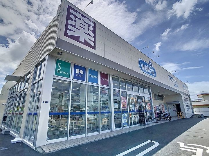 吉原パークハイツ205の周辺