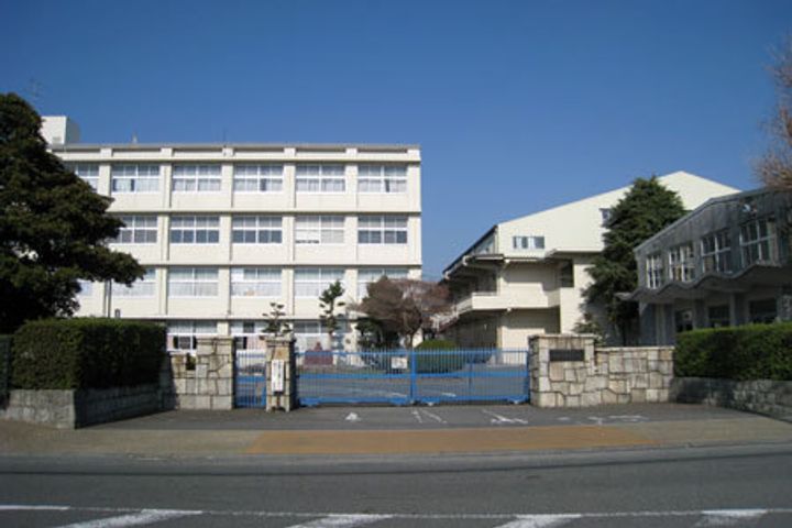 センターアイランドMSの周辺