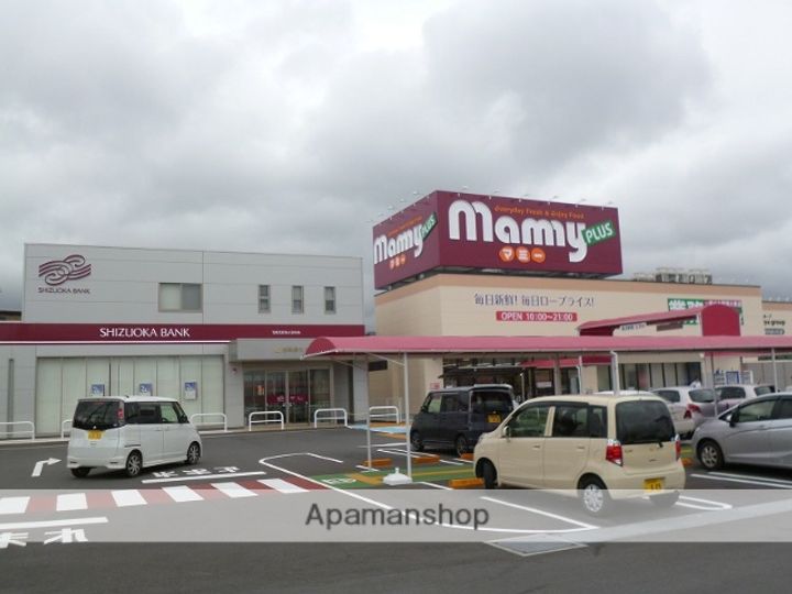 エルメゾンネクスト石坂の周辺