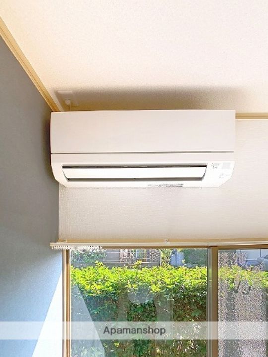 サンフラワー1-Dのその他画像