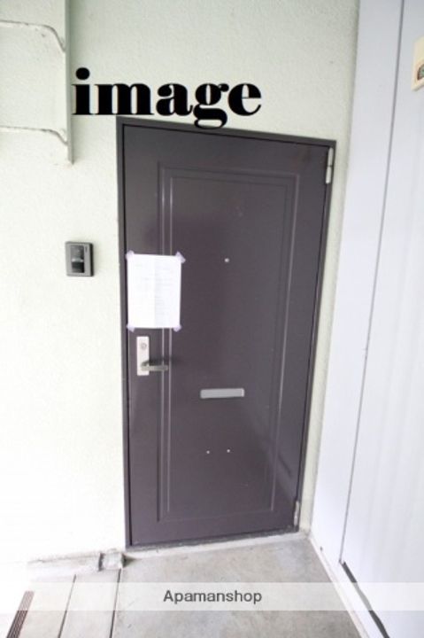 セントポーリアのその他画像