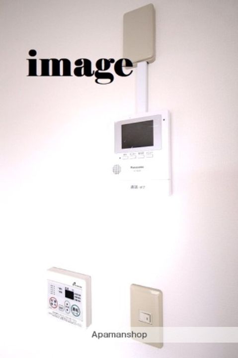 セントポーリアのその他画像