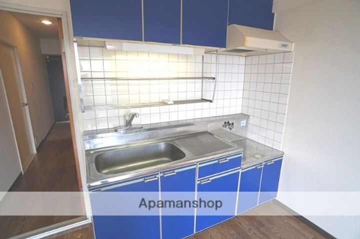 静岡県浜松市中央区海老塚1丁目の賃貸マンションのキッチン