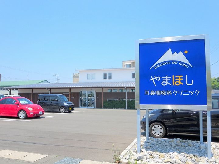 サンフラワーの周辺