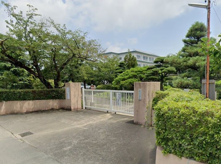 セレンディピティの周辺