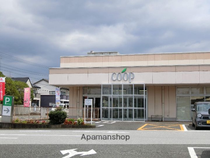 アベニュー平野Ⅲの周辺