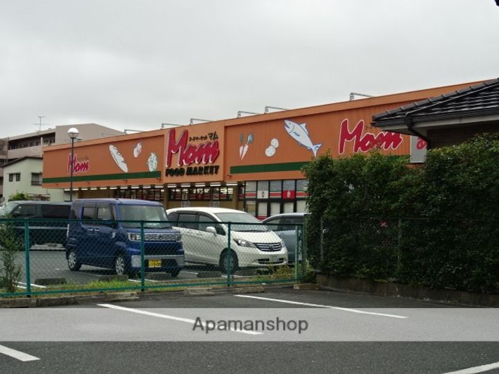 ダイヤモンドスクエアツインタワーズ浜松(分譲マンション)の周辺