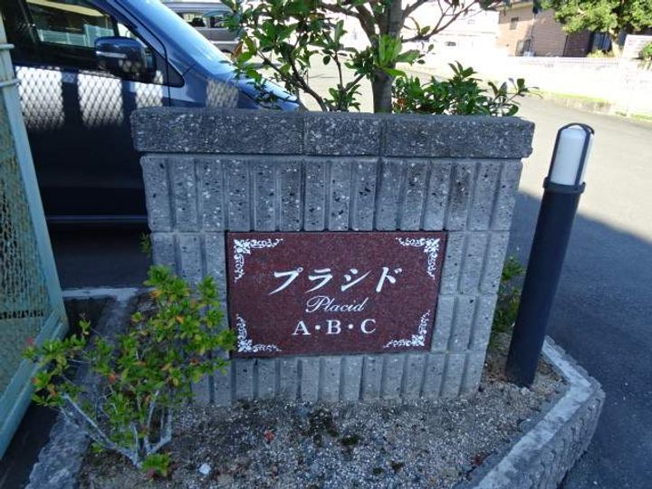 プラシドAの外観