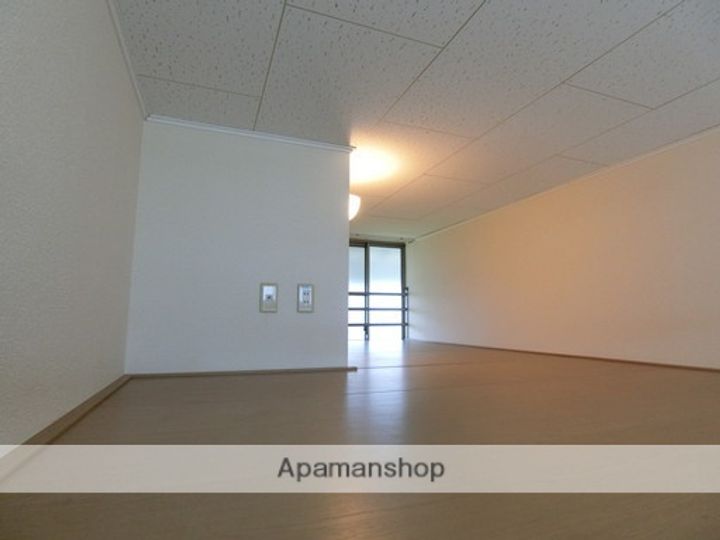 毬のその他画像