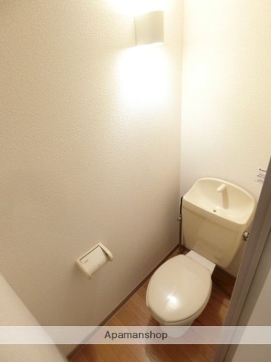 毬のその他画像