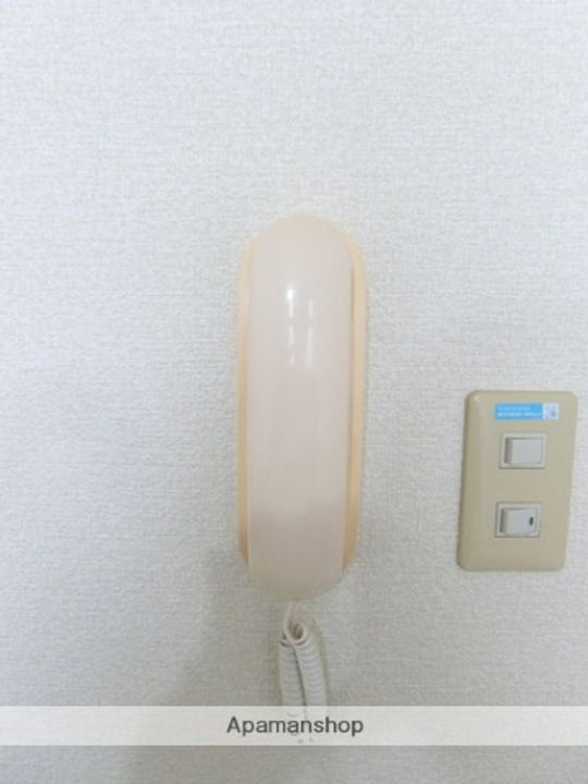 毬のその他画像