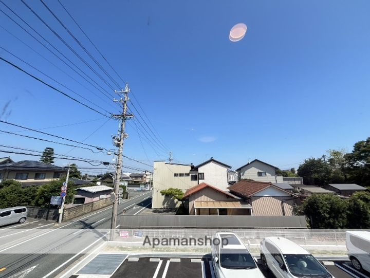 ひまわりのその他画像