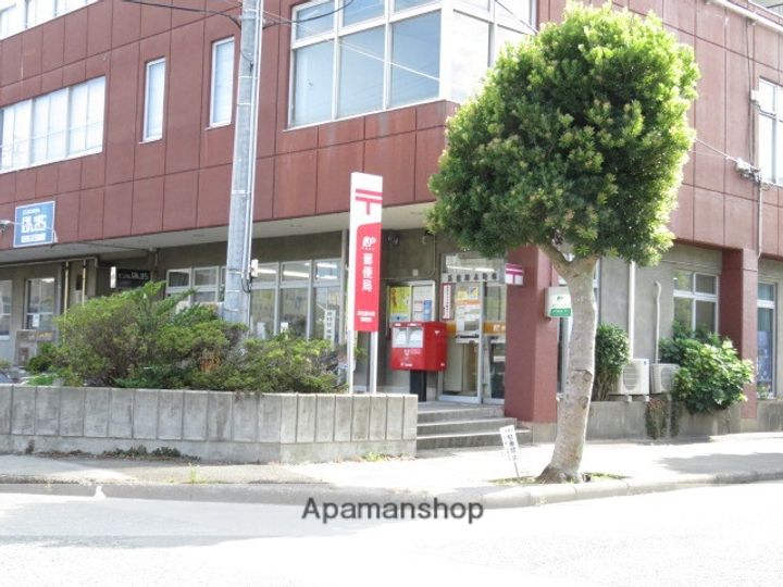 ひまわりの周辺