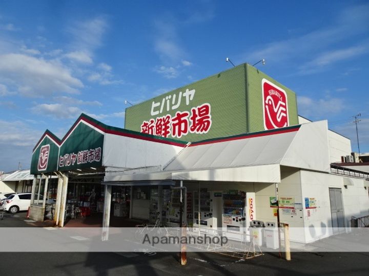 ローゼンハイム2Bの周辺