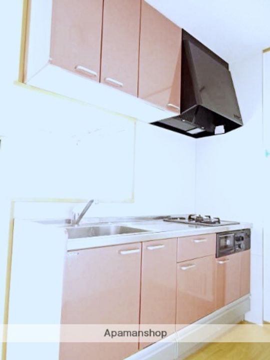 グランディアコートAのキッチン