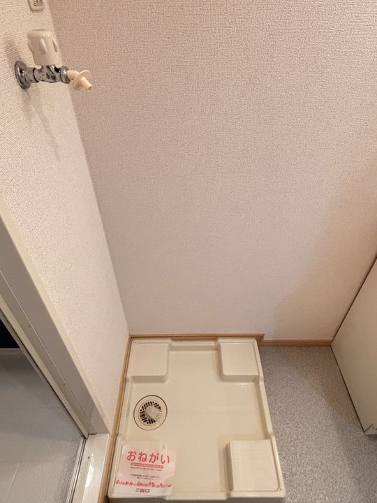 グリーン アイズのその他画像