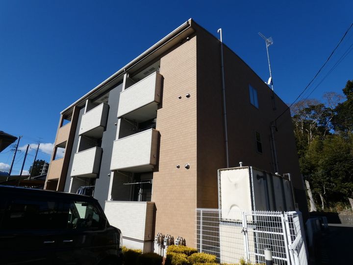 サニー・ダンの外観