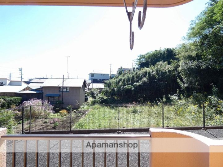 ロマネコンティのその他画像