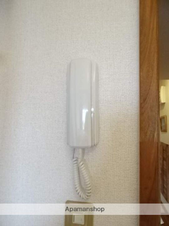 セザンヌ大知波のその他画像