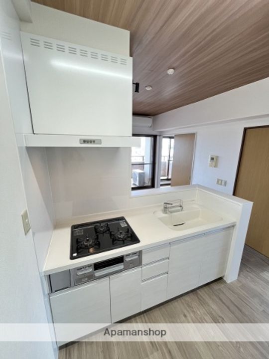 中央ハイツ海老塚A12のキッチン