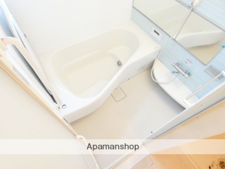 ロイヤルガーデン染地台Aの風呂