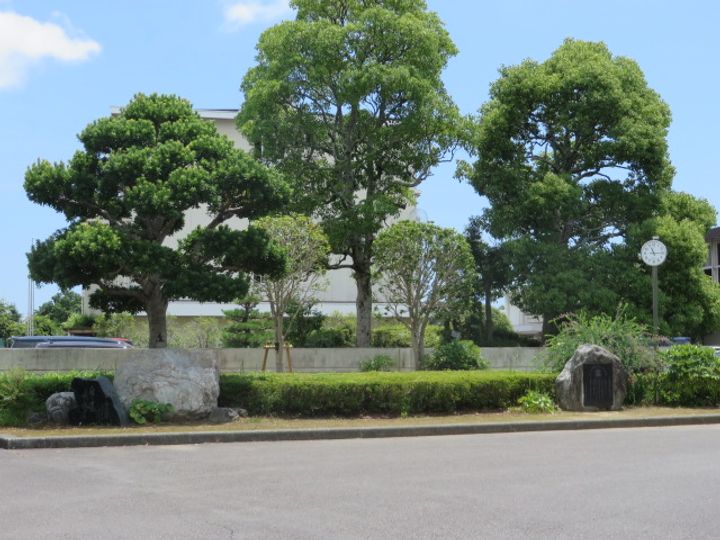 モカ?の周辺
