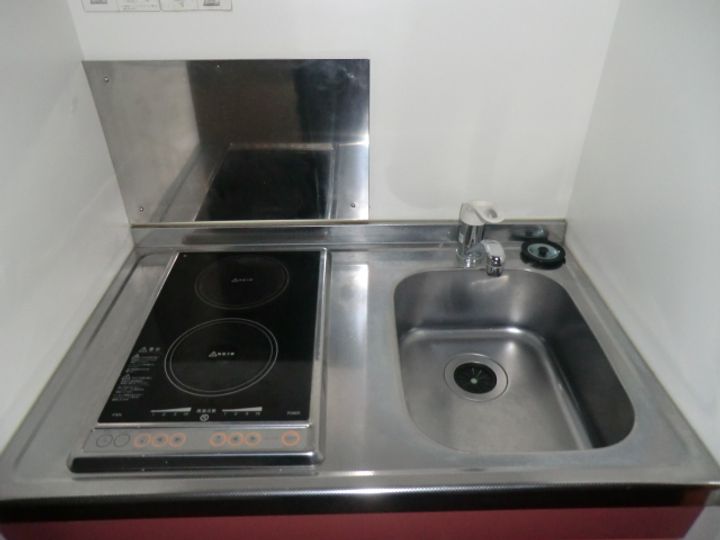 レオパレスクリスマスローズのその他画像