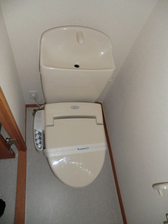 レオパレスクリスマスローズのその他画像