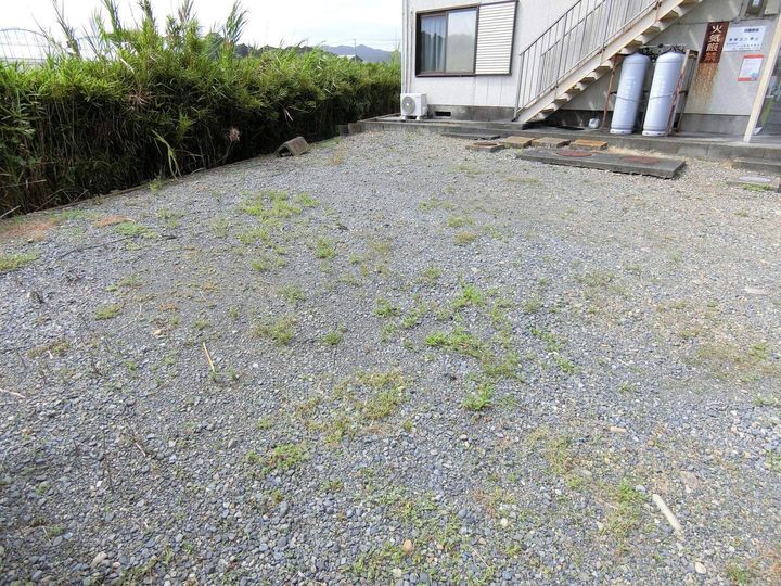トレンディのその他画像