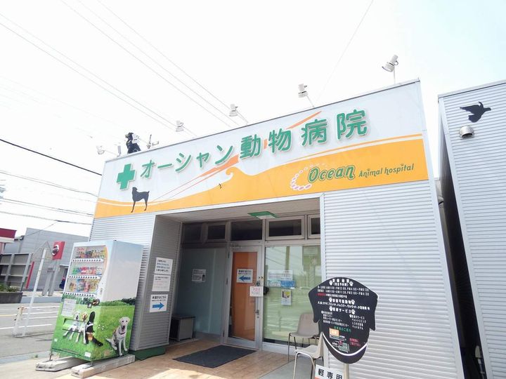 レオパレス泉の周辺