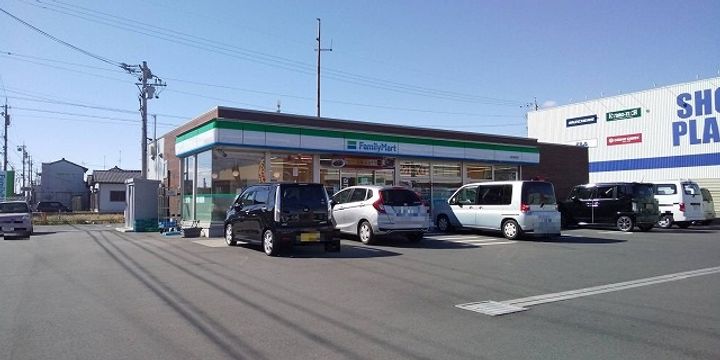 レオネクストあおいの周辺