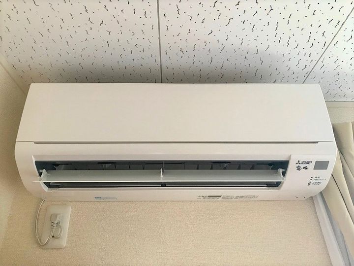 レオパレスクリスマスローズのその他画像