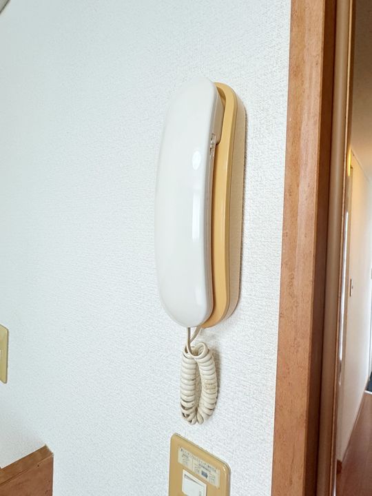 レオパレスラピュタのその他画像