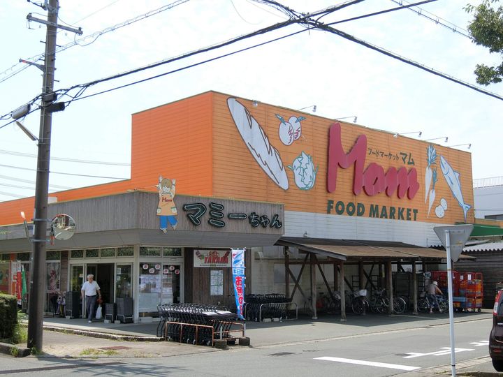 ビレッジハウス国本2号棟0201の周辺