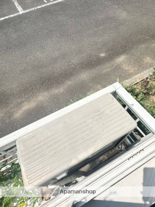 毬のその他画像